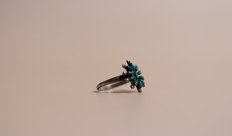 11 Stone Petit Point Ring