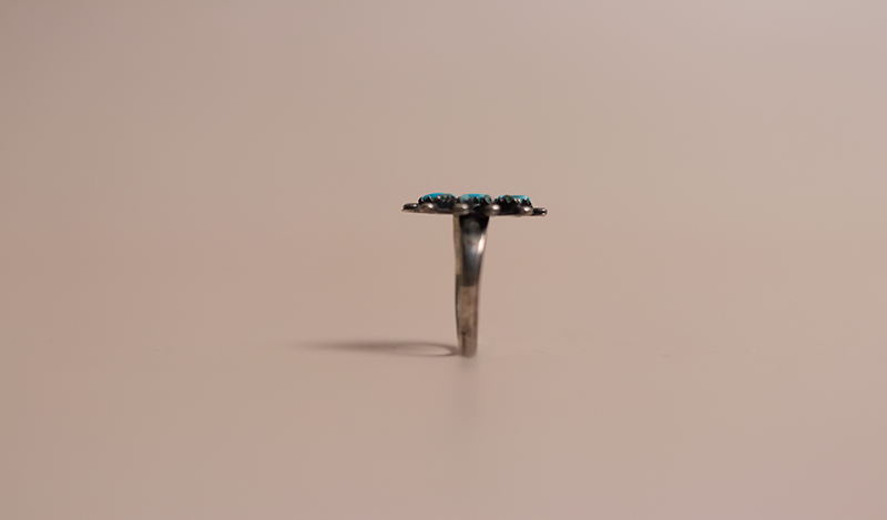 11 Stone Petit Point Ring